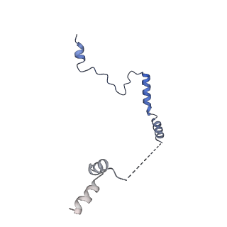 29271_8fl9_LM_v1-2
Human nuclear pre-60S ribosomal subunit (State J3)