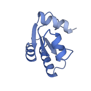 29271_8fl9_LO_v1-2
Human nuclear pre-60S ribosomal subunit (State J3)