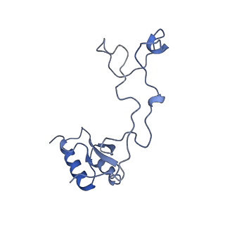 29271_8fl9_LQ_v1-2
Human nuclear pre-60S ribosomal subunit (State J3)