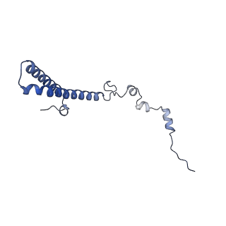 29271_8fl9_LS_v1-2
Human nuclear pre-60S ribosomal subunit (State J3)