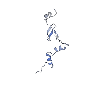29271_8fl9_LW_v1-2
Human nuclear pre-60S ribosomal subunit (State J3)