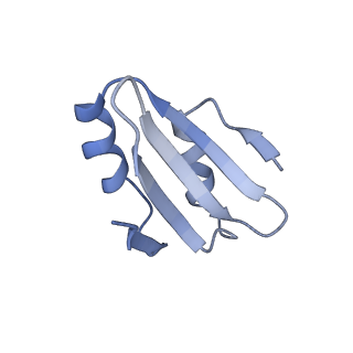 29271_8fl9_LY_v1-2
Human nuclear pre-60S ribosomal subunit (State J3)