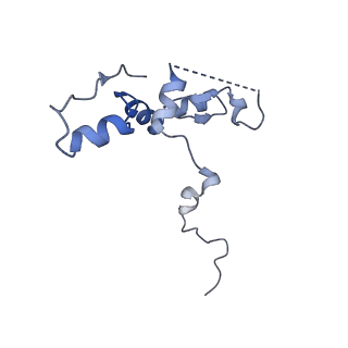 29271_8fl9_NP_v1-2
Human nuclear pre-60S ribosomal subunit (State J3)