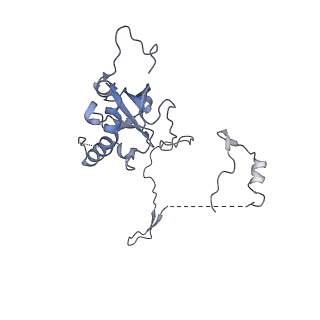 29271_8fl9_SC_v1-2
Human nuclear pre-60S ribosomal subunit (State J3)