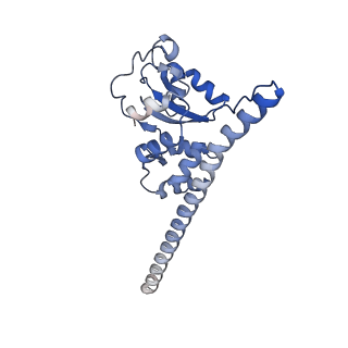 29271_8fl9_SD_v1-2
Human nuclear pre-60S ribosomal subunit (State J3)