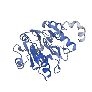 29271_8fl9_SK_v1-2
Human nuclear pre-60S ribosomal subunit (State J3)