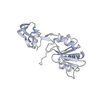 29271_8fl9_SQ_v1-2
Human nuclear pre-60S ribosomal subunit (State J3)