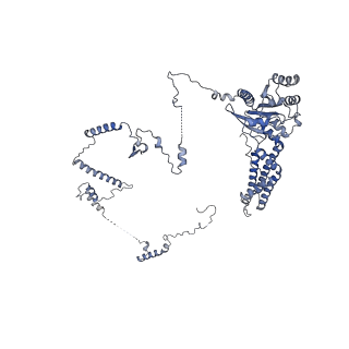 29271_8fl9_SR_v1-2
Human nuclear pre-60S ribosomal subunit (State J3)