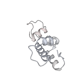 29272_8fla_BA_v1-2
Human nuclear pre-60S ribosomal subunit (State K1)