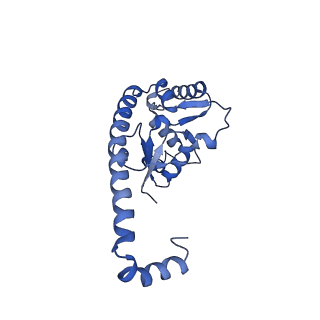 29272_8fla_L7_v1-2
Human nuclear pre-60S ribosomal subunit (State K1)