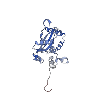 29272_8fla_L9_v1-2
Human nuclear pre-60S ribosomal subunit (State K1)