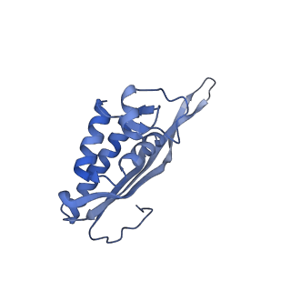 29272_8fla_LA_v1-2
Human nuclear pre-60S ribosomal subunit (State K1)