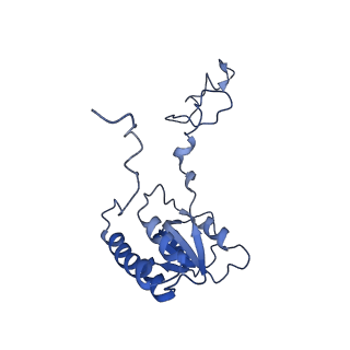 29272_8fla_LB_v1-2
Human nuclear pre-60S ribosomal subunit (State K1)