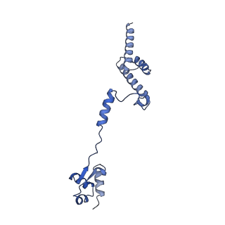 29272_8fla_LD_v1-2
Human nuclear pre-60S ribosomal subunit (State K1)