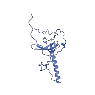 29272_8fla_LE_v1-2
Human nuclear pre-60S ribosomal subunit (State K1)