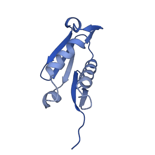 29272_8fla_LF_v1-2
Human nuclear pre-60S ribosomal subunit (State K1)