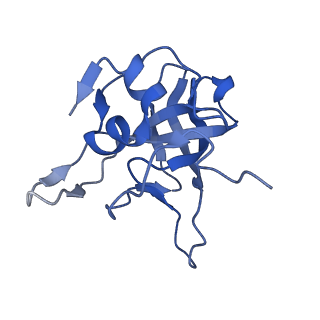 29272_8fla_LG_v1-2
Human nuclear pre-60S ribosomal subunit (State K1)