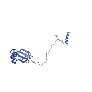29272_8fla_LH_v1-2
Human nuclear pre-60S ribosomal subunit (State K1)