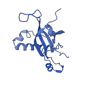 29272_8fla_LJ_v1-2
Human nuclear pre-60S ribosomal subunit (State K1)