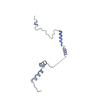 29272_8fla_LM_v1-2
Human nuclear pre-60S ribosomal subunit (State K1)