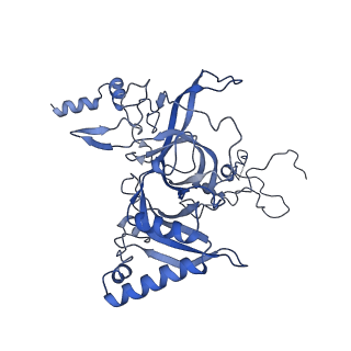 29272_8fla_LN_v1-2
Human nuclear pre-60S ribosomal subunit (State K1)