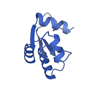 29272_8fla_LO_v1-2
Human nuclear pre-60S ribosomal subunit (State K1)