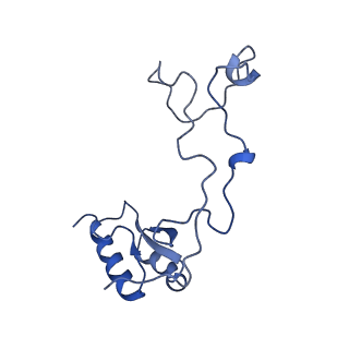 29272_8fla_LQ_v1-2
Human nuclear pre-60S ribosomal subunit (State K1)
