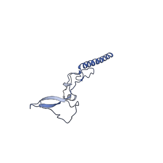 29272_8fla_LR_v1-2
Human nuclear pre-60S ribosomal subunit (State K1)