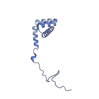 29272_8fla_LU_v1-2
Human nuclear pre-60S ribosomal subunit (State K1)