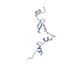 29272_8fla_LW_v1-2
Human nuclear pre-60S ribosomal subunit (State K1)