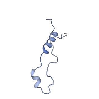 29272_8fla_LZ_v1-2
Human nuclear pre-60S ribosomal subunit (State K1)