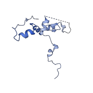 29272_8fla_NP_v1-2
Human nuclear pre-60S ribosomal subunit (State K1)