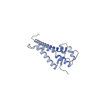 29272_8fla_NR_v1-2
Human nuclear pre-60S ribosomal subunit (State K1)