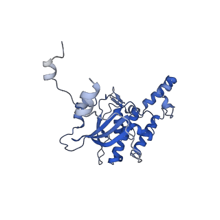 29272_8fla_SB_v1-2
Human nuclear pre-60S ribosomal subunit (State K1)