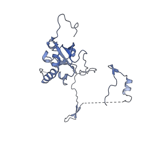 29272_8fla_SC_v1-2
Human nuclear pre-60S ribosomal subunit (State K1)