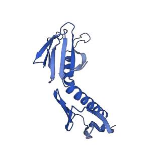 29272_8fla_SG_v1-2
Human nuclear pre-60S ribosomal subunit (State K1)