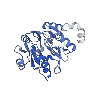 29272_8fla_SK_v1-2
Human nuclear pre-60S ribosomal subunit (State K1)