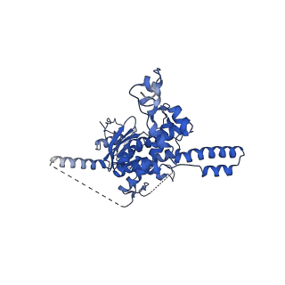 29272_8fla_SM_v1-2
Human nuclear pre-60S ribosomal subunit (State K1)