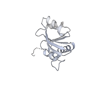 29272_8fla_SQ_v1-2
Human nuclear pre-60S ribosomal subunit (State K1)