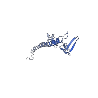 29272_8fla_SV_v1-2
Human nuclear pre-60S ribosomal subunit (State K1)
