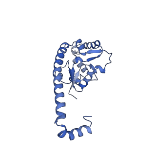 29273_8flb_L7_v1-2
Human nuclear pre-60S ribosomal subunit (State K2)