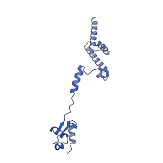 29273_8flb_LD_v1-2
Human nuclear pre-60S ribosomal subunit (State K2)