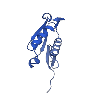 29273_8flb_LF_v1-2
Human nuclear pre-60S ribosomal subunit (State K2)