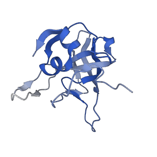 29273_8flb_LG_v1-2
Human nuclear pre-60S ribosomal subunit (State K2)