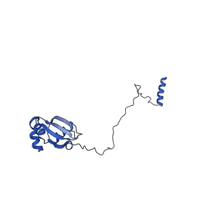 29273_8flb_LH_v1-2
Human nuclear pre-60S ribosomal subunit (State K2)