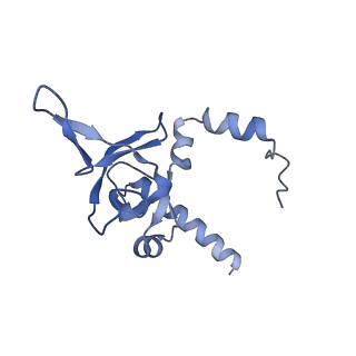 29273_8flb_LI_v1-2
Human nuclear pre-60S ribosomal subunit (State K2)