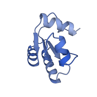 29273_8flb_LO_v1-2
Human nuclear pre-60S ribosomal subunit (State K2)