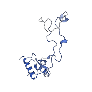 29273_8flb_LQ_v1-2
Human nuclear pre-60S ribosomal subunit (State K2)