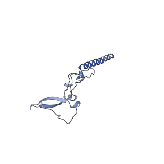 29273_8flb_LR_v1-2
Human nuclear pre-60S ribosomal subunit (State K2)