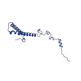 29273_8flb_LS_v1-2
Human nuclear pre-60S ribosomal subunit (State K2)